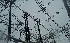 利来国国际(中国)最给力的老牌 - welcome