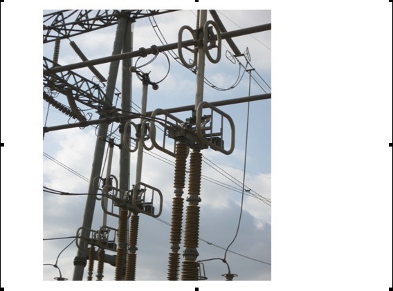 利来国国际(中国)最给力的老牌 - welcome